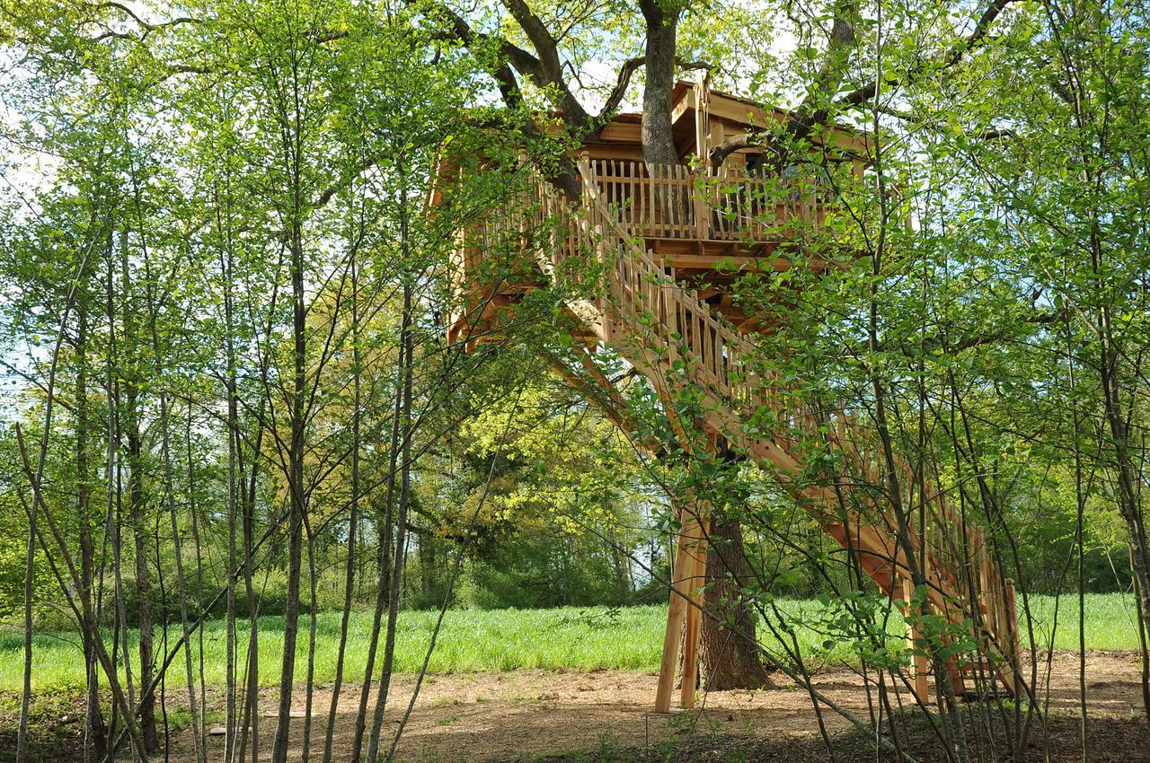 La Cabane Du Vieux Chene Susmiou 외부 사진
